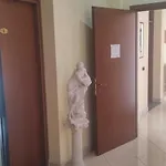 غريكو ميلان